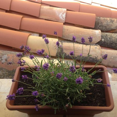Gerani House Villa Cefalù Dış mekan fotoğraf