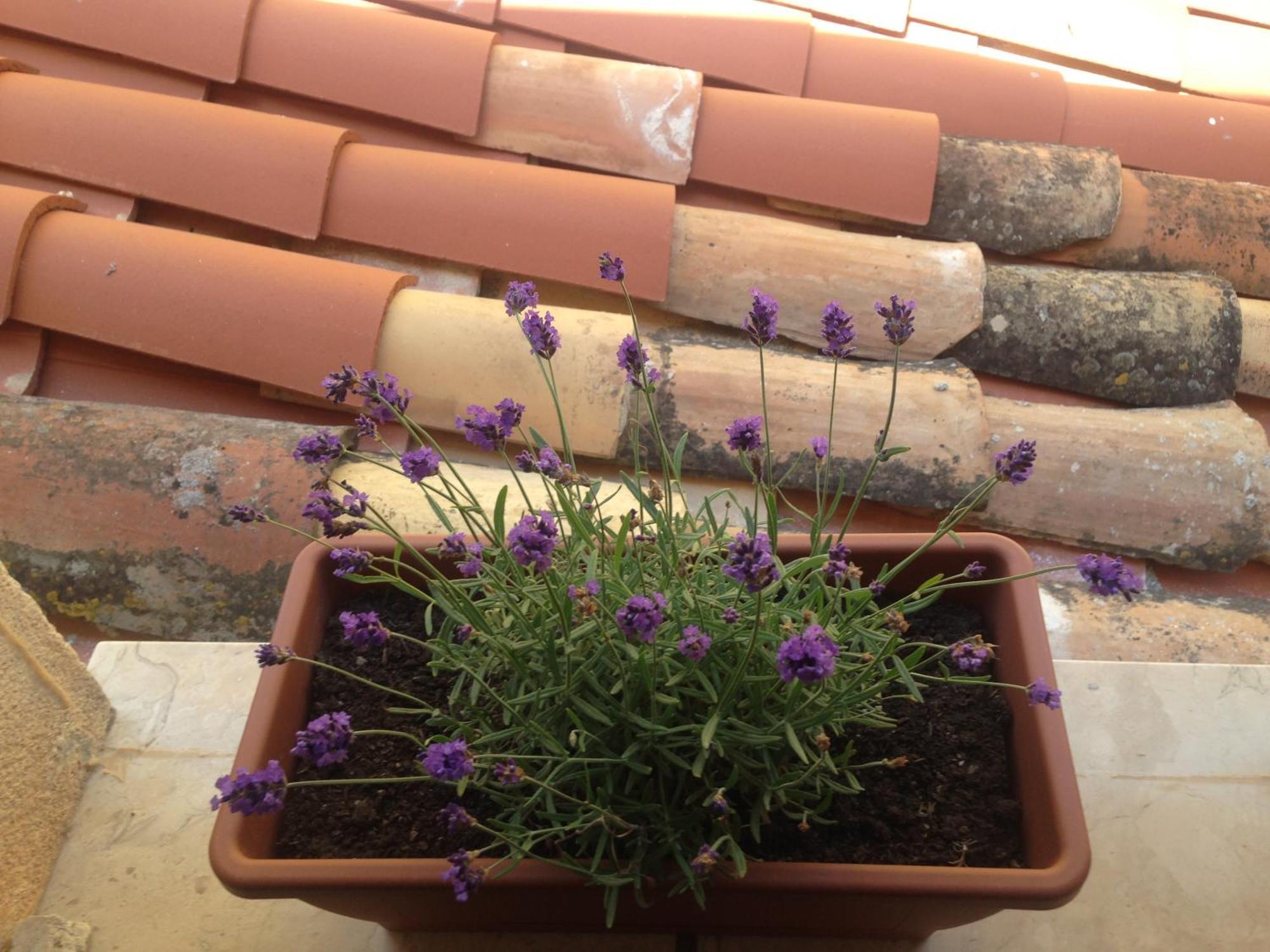 Gerani House Villa Cefalù Dış mekan fotoğraf